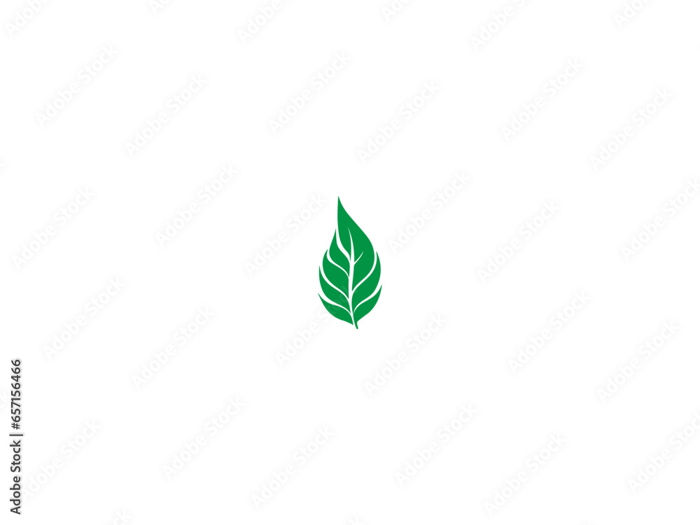 leave logo design, vector and illustration, leave logo design, vector and illustration,