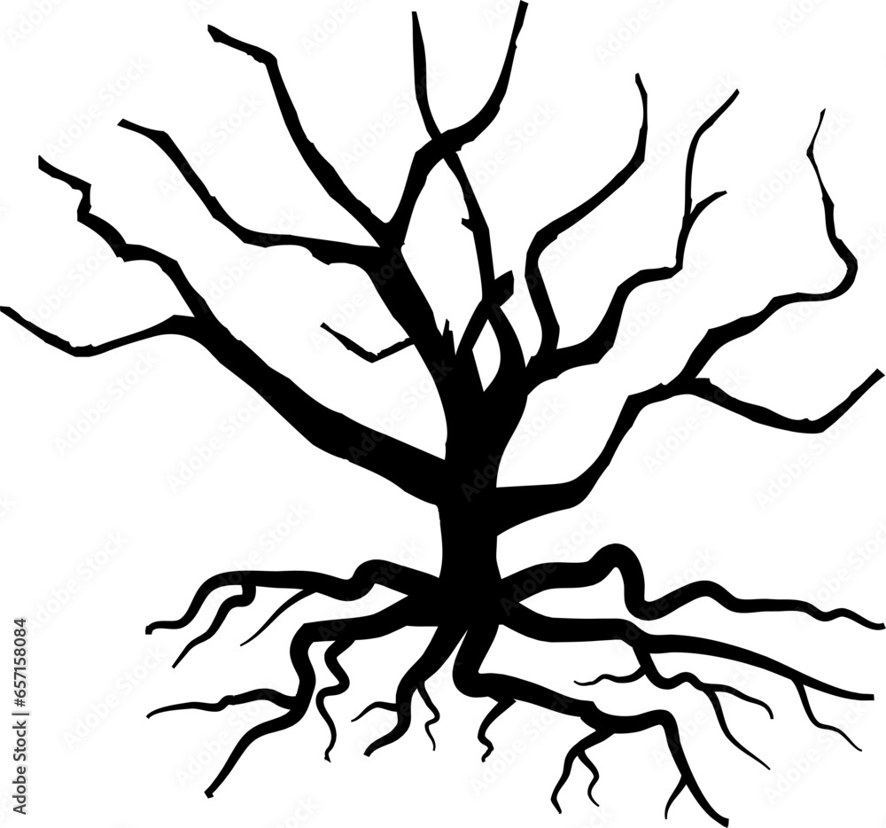 tree silhouette isolated on white background drawing tree silhouette isolated on white background drawing