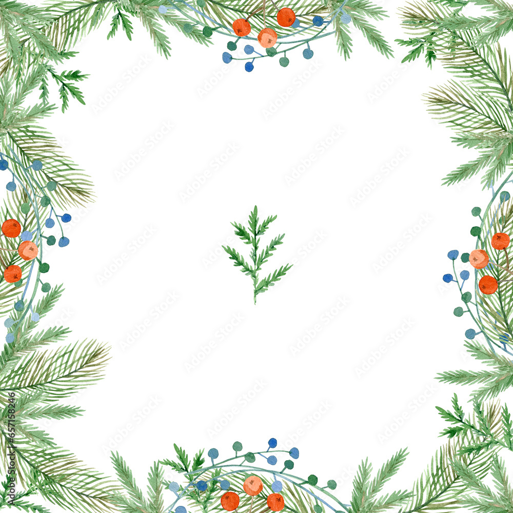 Frame with green holly leaves, blue and red berries and spruce twigs.