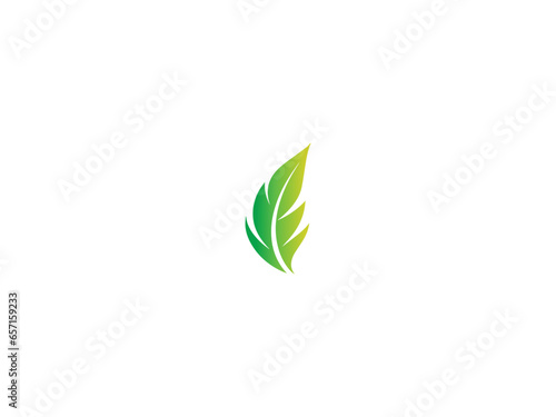 leave logo design  vector and illustration 