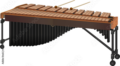 Illustration of typical marimba percussion instrument photo