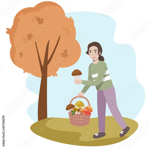 Mushroom picker girl. A woman picks mushrooms. Mushroom picker with mushrooms in the autumn forest