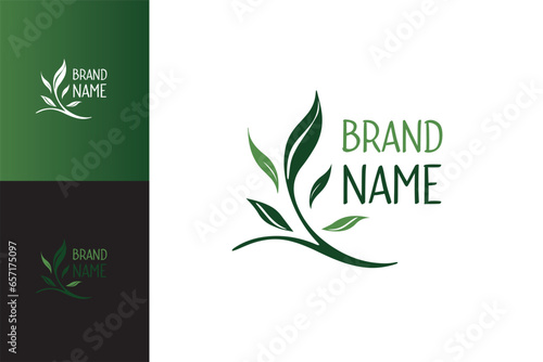 Logo nature, feuilles, branches vert. Logo sur fond blanc, couleur et noir. Vecteur, illustration pour logotype. Société, entreprise, marque. 