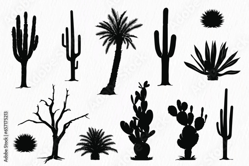 Silhouette set of Desert plants, desert trees, cactus, coconut tree, palm, Century plant,  Thompson yucca, prickly pear.