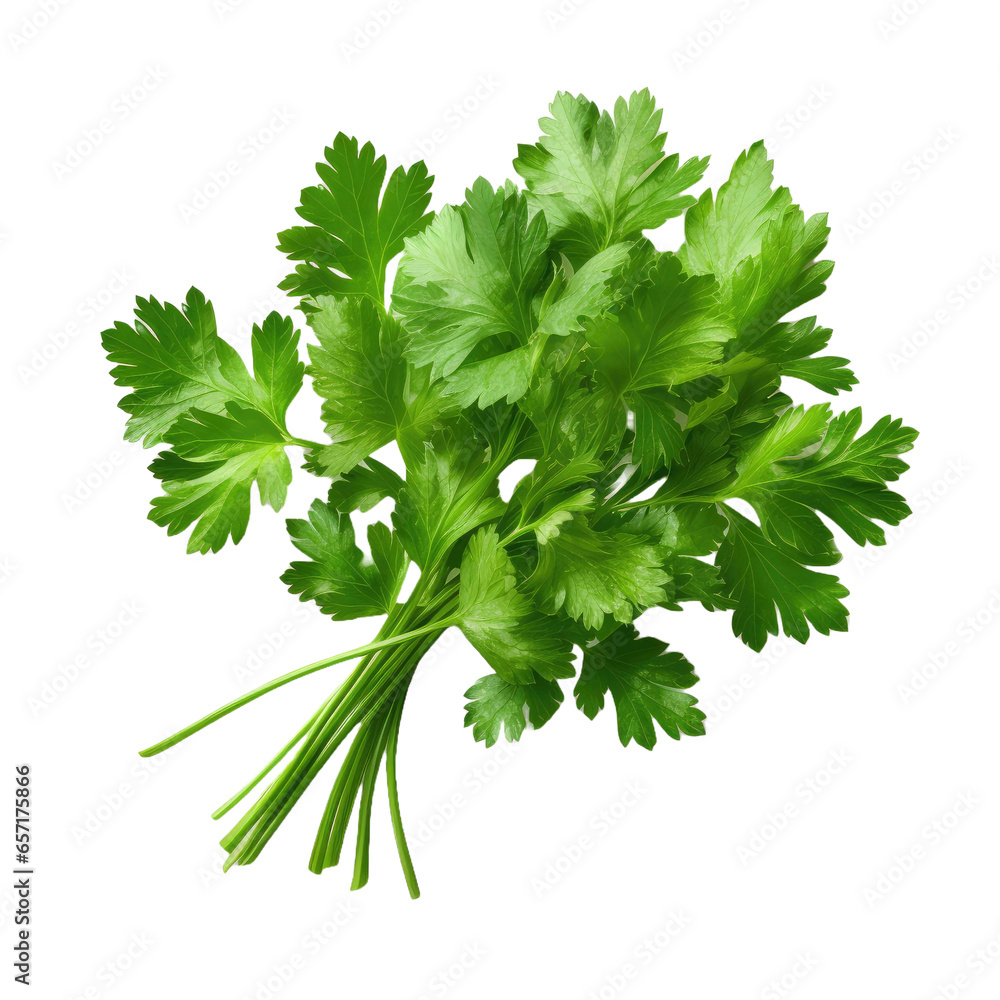 Fresh parsley herb isolated on transparent background - obrazy, fototapety, plakaty 