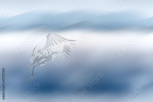 Fototapeta Naklejka Na Ścianę i Meble -  Dense fog and bird. A simple and natural background. Little Egret.