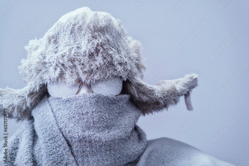 A frozen man all bundled up in a fur trappers hat, scarf, and parka, covered in snow and frost trying to stay warm on a very cold gray Winter's day. - obrazy, fototapety, plakaty 