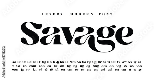 Bold Serif Font in modern style with a big set of different ligatures, this typeface can be used for logos