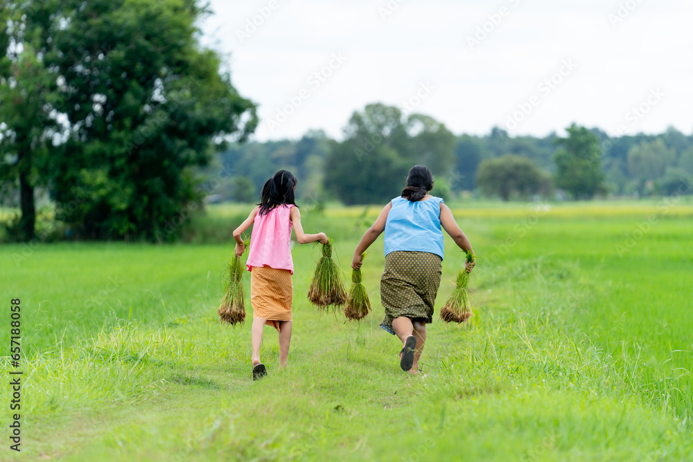 Obraz premium Back of young Asian girls hold rice seedlings and run together on road in rice field with big tree on the background.