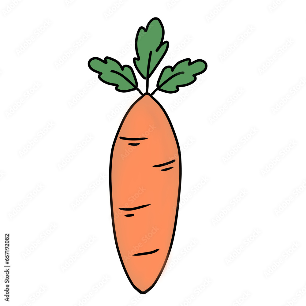 Carrot Carrot