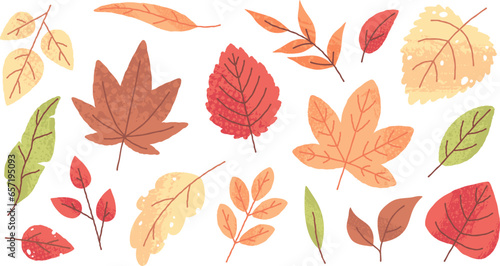 Аutumn leaves doodle, yellow and red leaf, fall season maple and oak falling leaves. Hand drawn autumnal foliage, dried botanical tree herbarium element vector set