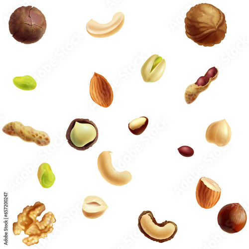 set of hazelnuts almond