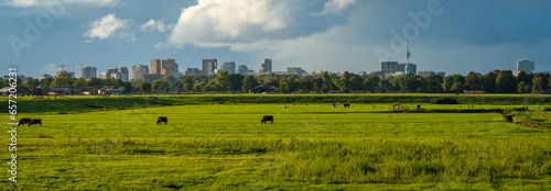 Photography Skyline of Amsterdam Zuidas seen from Ouderkerk Aan De Amstel