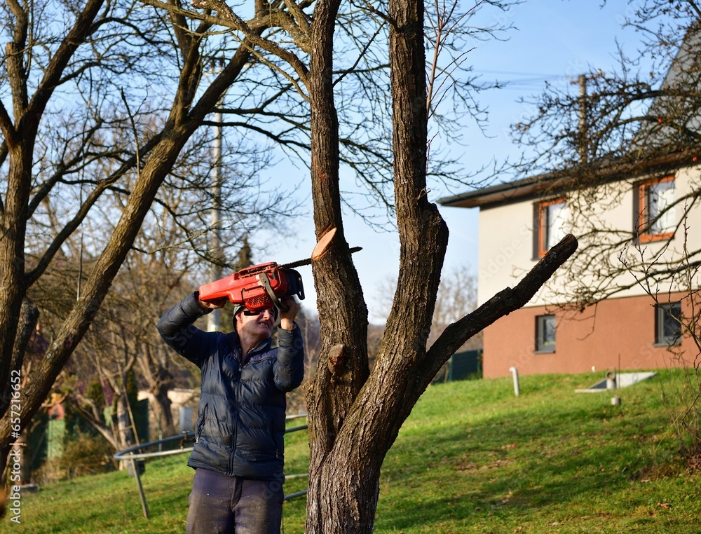 Autumn work in the garden and pruning branches and trees
