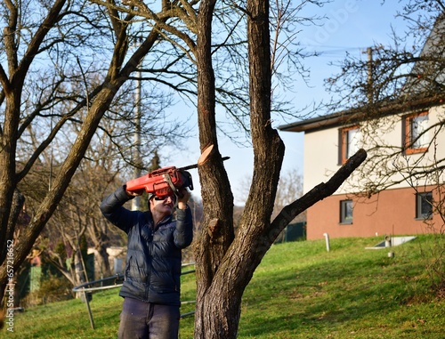 Obraz na płótnie Autumn work in the garden and pruning branches and trees w salonie