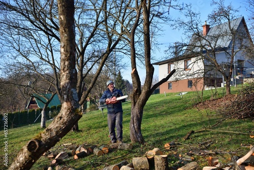 Obraz na płótnie Autumn work in the garden and pruning branches and trees w salonie