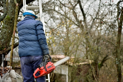 Obraz na płótnie Dangerous work in the heights of the tree and trimming branches with a saw w salonie