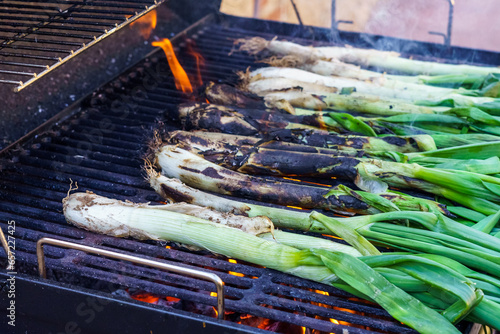 Calçots, a catalan young onions. In spring, when the cold is going away, we meet with friends to a Calçotada. Is a bbq with this young onions with a delicious sauce. photo
