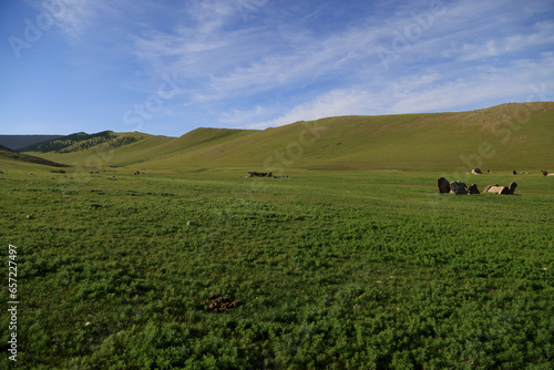 Deer stone monuments and square graves of Temeen Chuluu  Mongolia