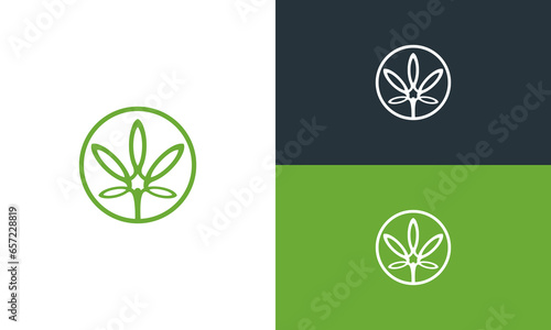 Vector simple cannabis leaf circle c b d logo design illustration
