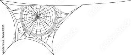 Spider web vector illustration, halloween background