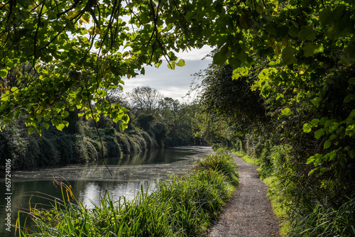Canal and towpath running through woodland