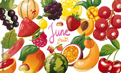 Ensemble de fruits de saison du mois de juin. Illustration vectorielle. Graphic design éléments. Fruits pour clipart ou pour illustrations. 