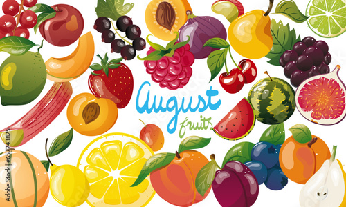 Ensemble de fruits de saison du mois d'août. Illustration vectorielle. Graphic design éléments. Fruits pour clipart ou pour illustrations. 