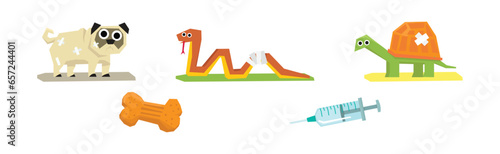Pet Cure and Medical Treatment with Animal at Veterinary Vector Set