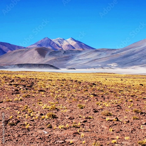 Lagunas Altiplanicas, Atacama desert. Chile photo