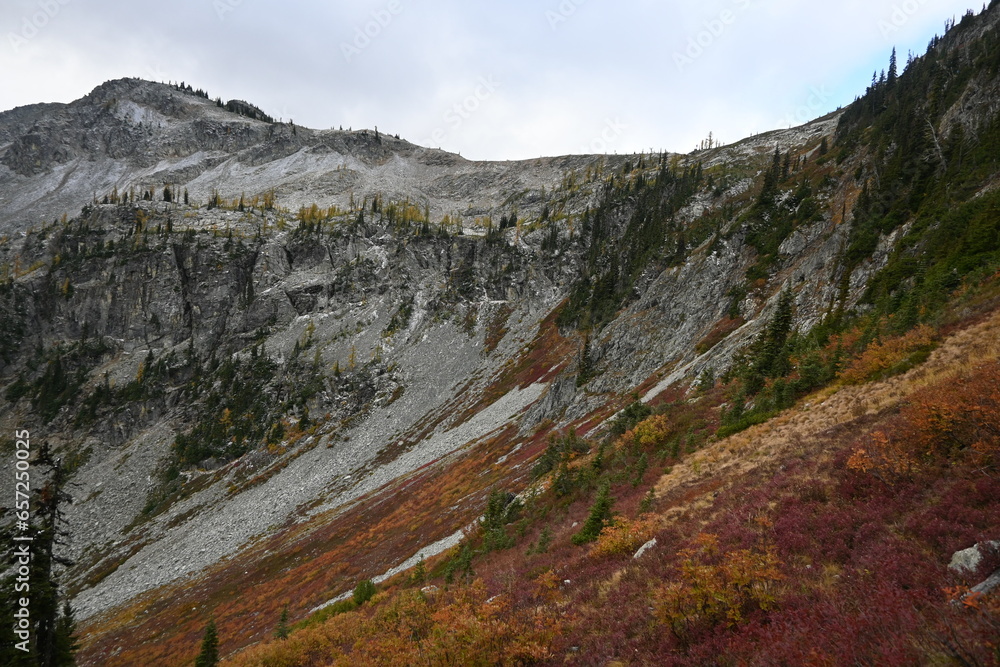Obraz premium autumn in the cascades