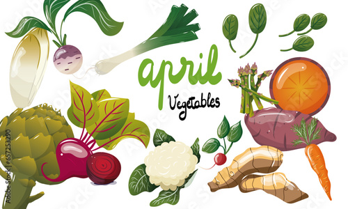 Ensemble de légumes de saison du mois d'avril. Illustration vectorielle. Graphic design éléments. Légumes pour clipart ou pour illustrations. 