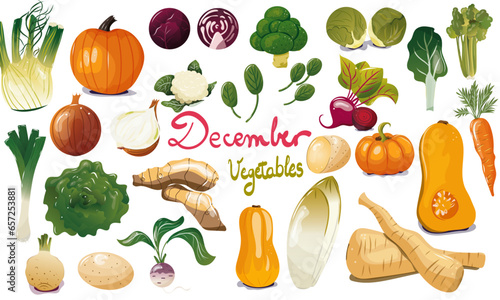 Ensemble de légumes de saison du mois de décembre. Illustration vectorielle. Graphic design éléments. Légumes pour clipart ou pour illustrations. 