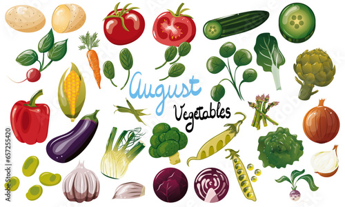 Ensemble de légumes de saison du mois d'août. Illustration vectorielle. Graphic design éléments. Légumes pour clipart ou pour illustrations. 