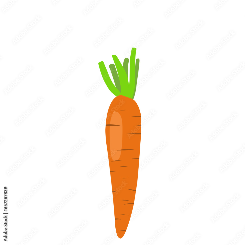 Carrot Vegetable Vector Illustration Carrot Vegetable Vector Illustration