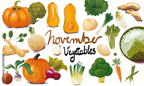 Ensemble de légumes de saison du mois de novembre. Illustration vectorielle. Graphic design éléments. Légumes pour clipart ou pour illustrations. 