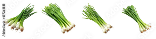 Green onions Scallions Vegetable Hyperrealistic Highly Detailed Isolated On Plain White Background