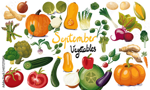 Ensemble de légumes de saison du mois de septembre. Illustration vectorielle. Graphic design éléments. Légumes pour clipart ou pour illustrations. 