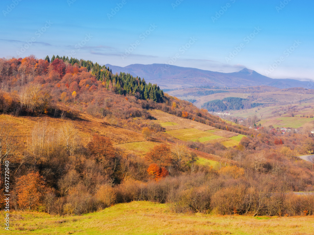 mountainous countryside in fall season. empty grassy meadows and colorful trees on the hill on a sunny autumn day. ridge with high peak in the distance