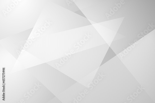 Abstract Geometric modern white and gray triangle color background for template design. Vector illustration