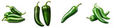 jalapeno peppers  Vegetable Hyperrealistic Highly Detailed Isolated On Plain White Background