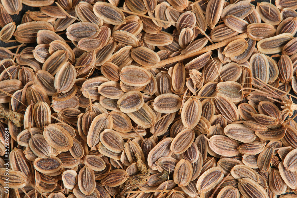 Dill seeds in closeup on a macro photograph. Dill seeds in closeup on a macro photograph.