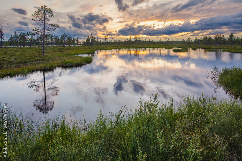 Sunset over a taiga landscape in the vicinity of Särna, central Sweden, with lakes, swamps and boreal forest 