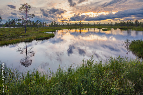 Sunset over a taiga landscape in the vicinity of Särna, central Sweden, with lakes, swamps and boreal forest 