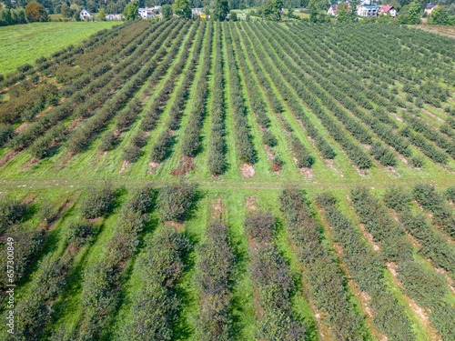 aerial view of an orchard farm,Subcarpathian, Poland