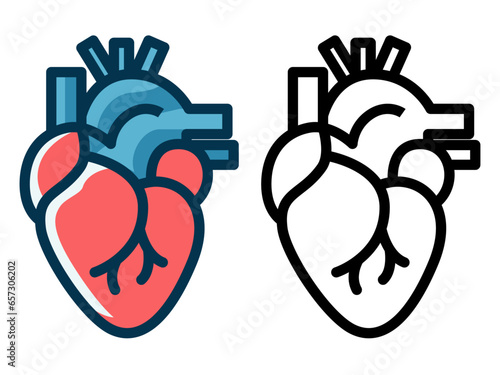 Human heart simple style vector illustration, human heart colored and black and white line art simple style stock vector image