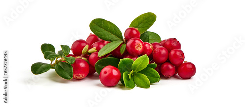 Fototapeta Naklejka Na Ścianę i Meble -  Wild cowberry, foxberry, lingonberry with leaves, isolated on white background. High resolution image.