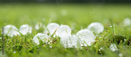 Large hailstone in grass after hailstorm shallow focus With copyspace for text photo