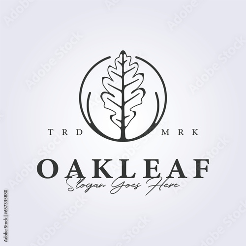 outline oak leaf icon logo vector illustration design