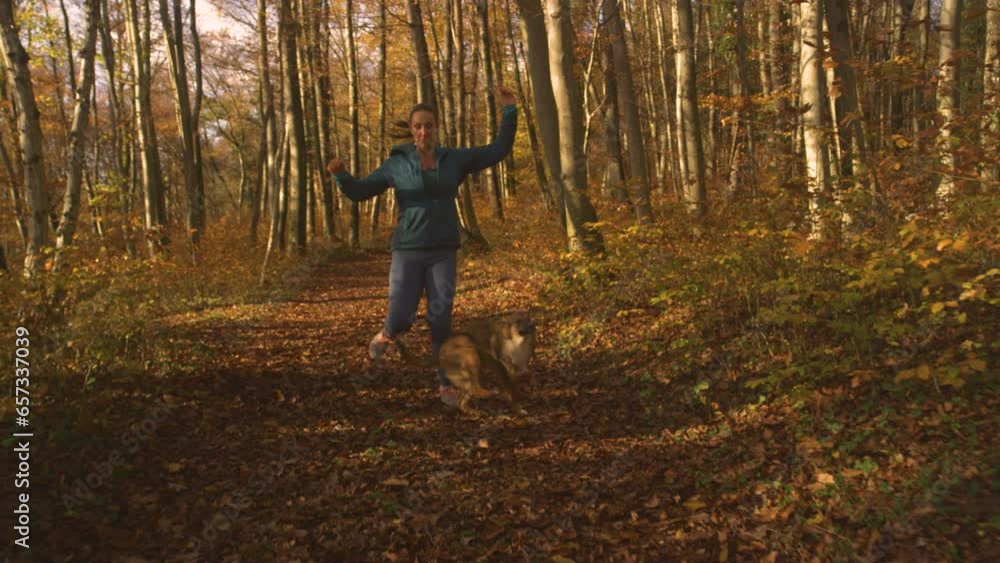 PORTRAIT: Runner almost falls over her dog as they run along autumn forest trail. A playful dog crosses the path of a lady who stumbles but keeps her balance. Funny accidents can happen to dog owners. PORTRAIT: Runner almost falls over her dog as they run along autumn forest trail. A playful dog crosses the path of a lady who stumbles but keeps her balance. Funny accidents can happen to dog owners.